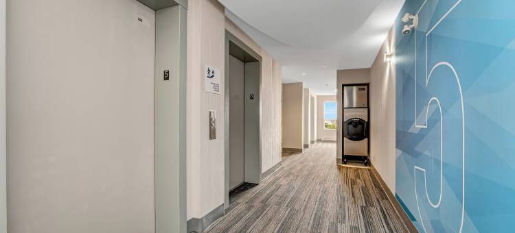 智选假日套房酒店埃德蒙顿(Holiday Inn Express & Suites Edmonton South)图片