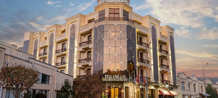 帝玛精品华丽酒店(DiliMah Premium Luxury)图片