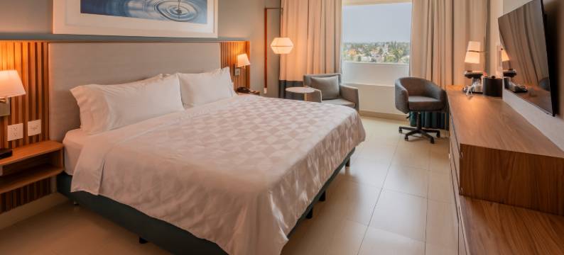 阿卡普尔科拉岛假日酒店(Holiday Inn Acapulco la Isla, an IHG Hotel)图片