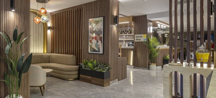 洲际酒店集团旗下的加纳酒店伊斯坦布尔 - 阿尔纳武特科伊机场(Garner Hotel Istanbul - Airport Arnavutkoy by IHG)图片