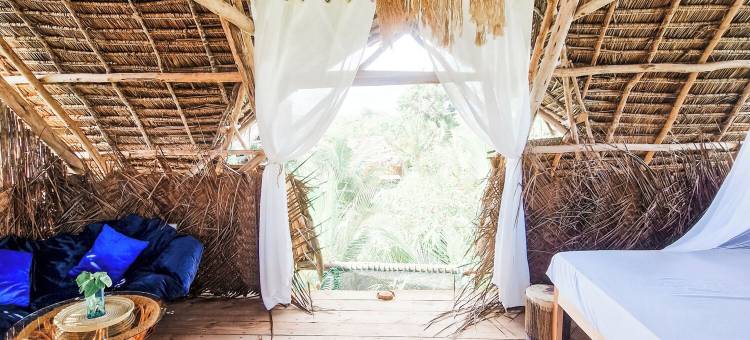 赞吉巴尔贾姆比亚尼蜜月巢(Honeymoon Nest Zanzibar in Jambiani)图片