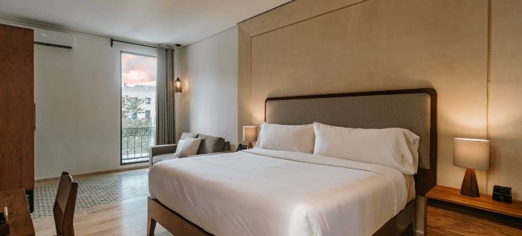 帕塞奥蒙特霍卡哈尔酒店(Kahal Hotel - Paseo Montejo)图片