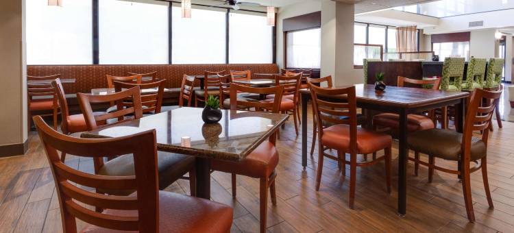 丹佛科技中心德鲁里套房酒店(Drury Inn & Suites Denver Tech Center)图片