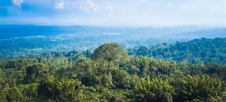 哈玛德里亚山林小屋酒店(Hamadryade Lodge)图片