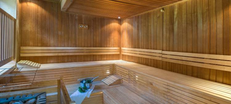 奥尔陶斯JUFA酒店(Jufa Hotel Altaussee)图片