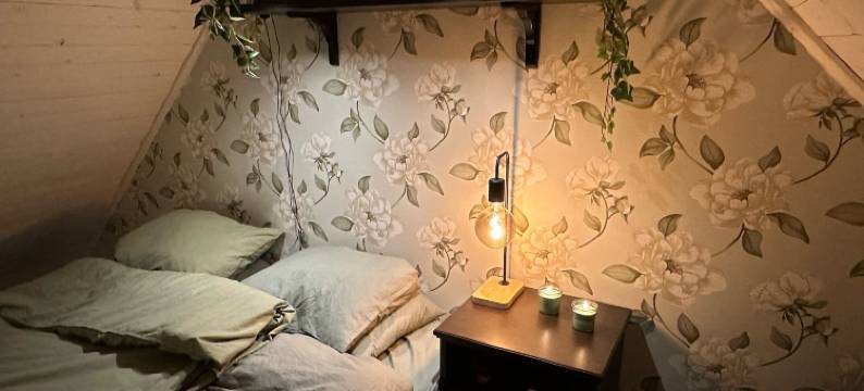 温丹斯农场(Vindängs Gård Hagbards by)图片