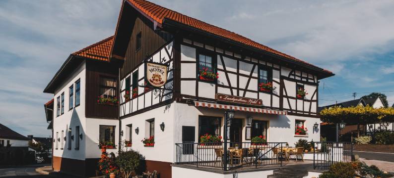 法尔兹兰德酒店(Landgasthaus Pfahl)图片