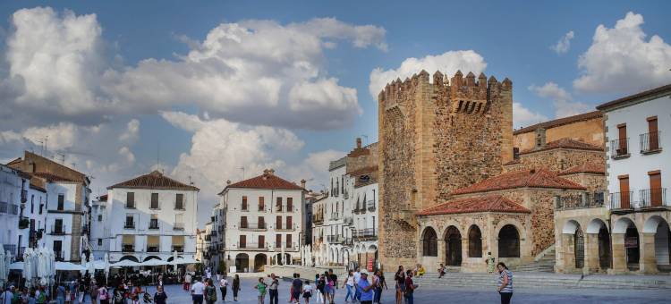 唐费南多苏活精品酒店(Soho Boutique Casa Don Fernando)图片