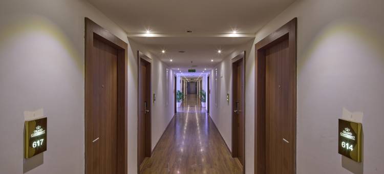 大陆布鲁克菲尔德酒店 – 萨罗瓦尔波蒂科附属酒店(Grand Continent Brookefield – A Sarovar Portico Affiliate Hotel)图片