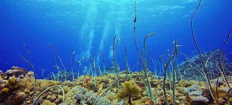 台东绿岛禾风旅栈图片