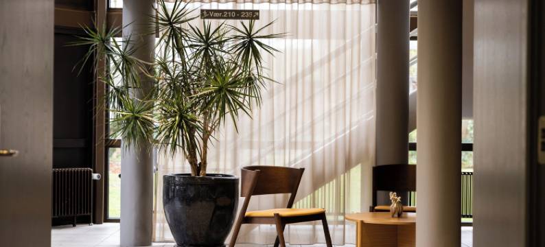 弗雷德里克六世酒店(Frederik VI's Hotel)图片