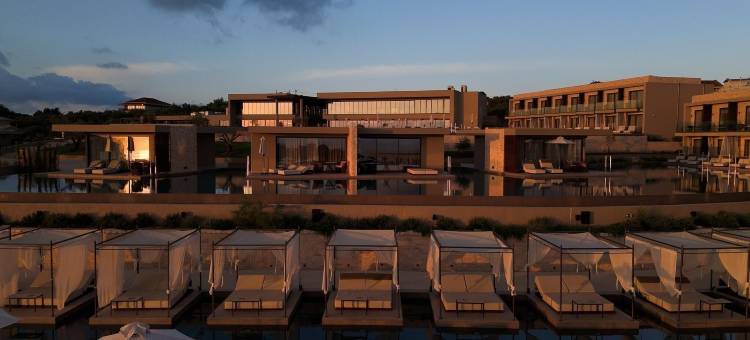 为成人设计的King Jason Zante(King Jason Zante – Designed for Adults)图片