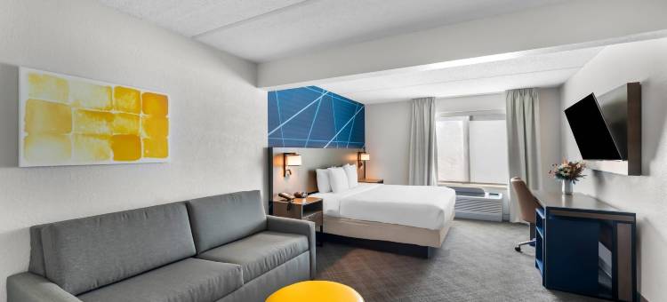 奥斯汀机场舒适套房酒店(Comfort Suites Austin Airport)图片