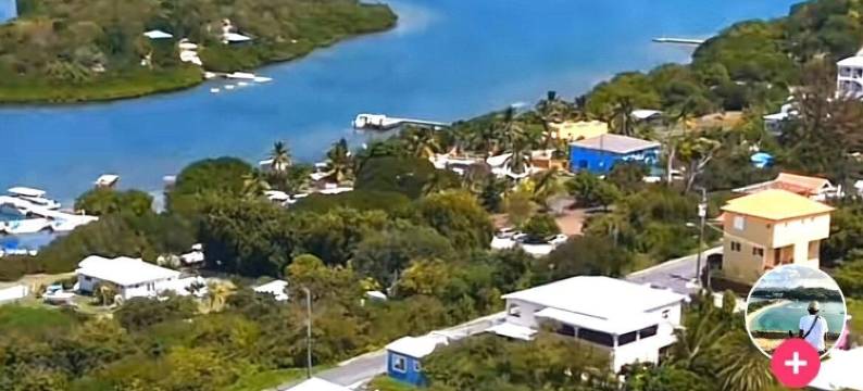 爱伦湾别墅酒店(Ellen Bay Cottages)图片