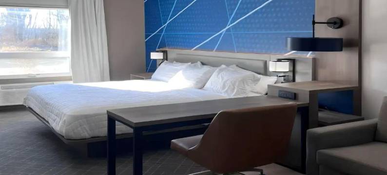 中央谷伍德伯里舒适套房酒店(Comfort Suites Central Valley)图片