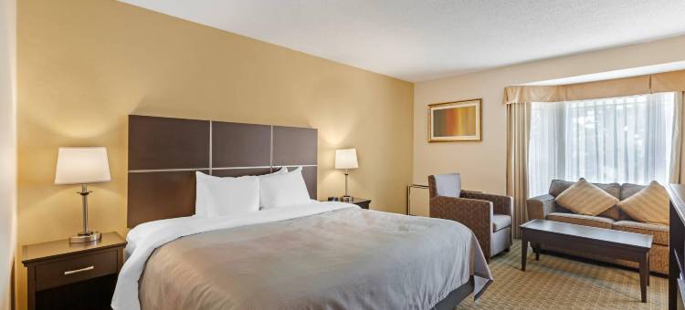 品质套房酒店(Quality Inn & Suites)图片