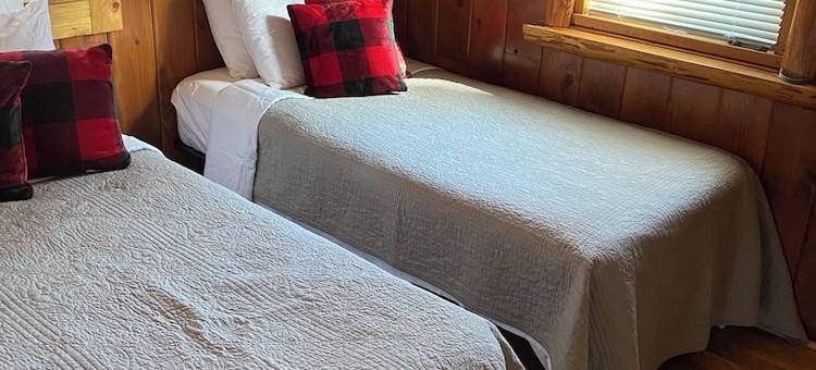 北林度假沃克木屋，可住6人，享Leech Lake湖景，可轻松到达湖边(Sleeps 6! Northwoods Escape Near Walker w/Leech Lake Views. Easy Lake Access.)图片