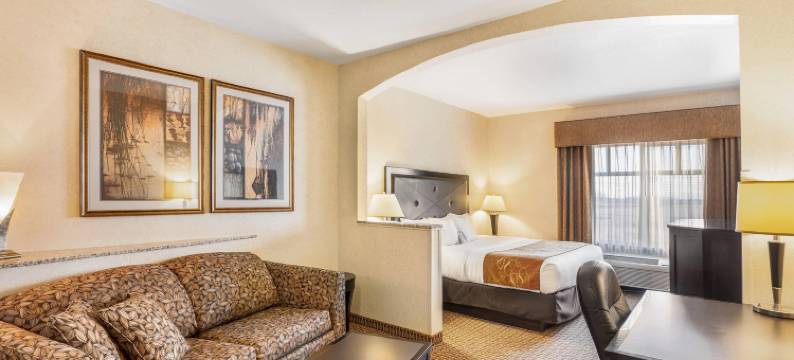 摩塞斯莱克舒适套房酒店(Comfort Suites Moses Lake)图片