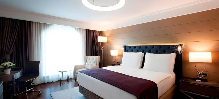 伊斯坦布尔希什利丽笙酒店(Radisson Blu Hotel, Istanbul Sisli)图片