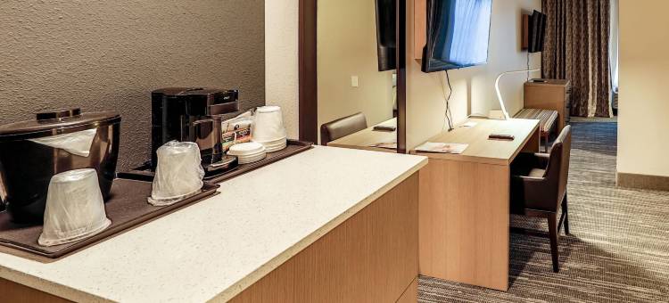 纳什维尔机场乡村套房酒店-丽笙旗下(Country Inn & Suites by Radisson Nashville Airport TN)图片