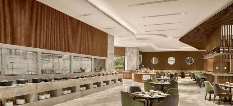 德里 MG 路 丽笙酒店(Radisson Hotel Delhi MG Road)图片