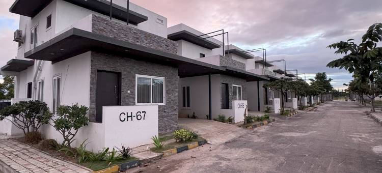 宁静度假屋(Tranquil Vacations)图片