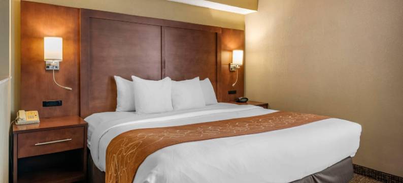 贝梅度斯靠近巴特勒大道舒适套房酒店(Comfort Suites Baymeadows Near Butler Blvd)图片