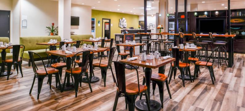 达拉斯艾迪生假日套房酒店(Holiday Inn & Suites DALLAS-ADDISON by IHG)图片