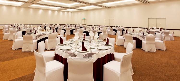 Holiday Inn 墨西哥城大学广场(Holiday Inn MEXICO CITY-PLAZA UNIVERSIDAD by IHG)图片