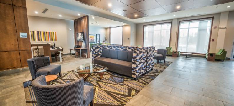 埃德蒙顿西部购物区智选假日酒店(Holiday Inn Express & Suites WEST EDMONTON-MALL AREA by IHG)图片