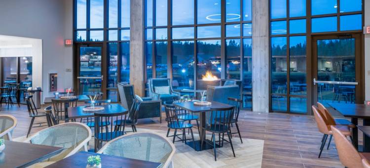 黄石公园-岛屿公园万豪SpringHill Suites 酒店(SpringHill Suites Island Park Yellowstone)图片