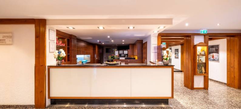 戈斯拉PLAZA INN酒店(PLAZA INN Goslar)图片