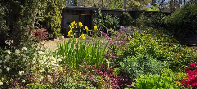 金丰假日单元房酒店(Goldfield Holiday Units)图片