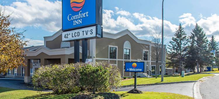 舒适酒店(Comfort Inn)图片