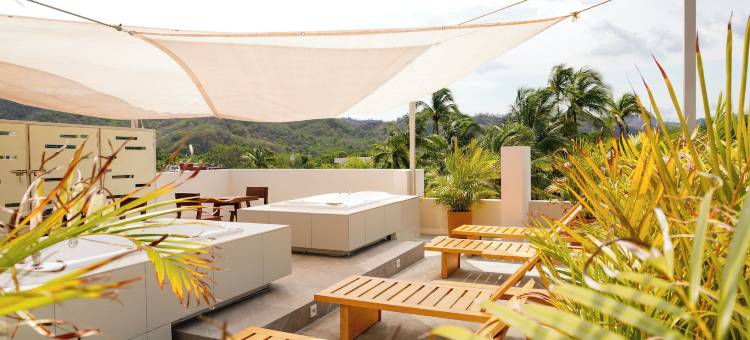 特帕尔卡特斯酒店(Hotel Tepalcates)图片