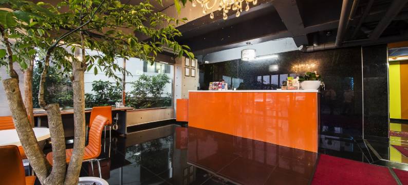 济州岛桔子酒店(Orange Hotel)图片