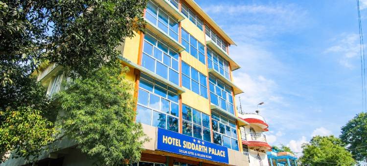 赛达斯宫酒店(Hotel Siddarth Palace)图片