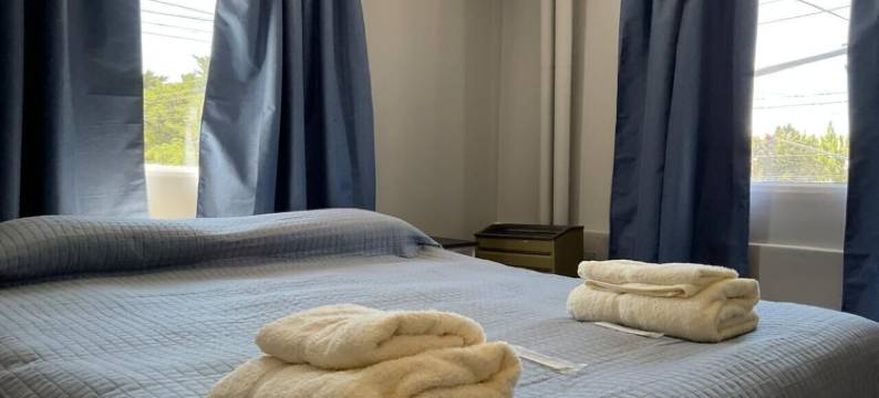 埃尔维耶霍酒吧酒店(El Viejo Bar Hotel)图片