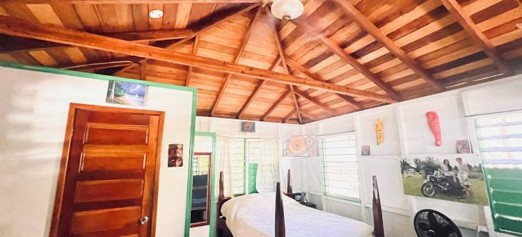 树顶海滨小屋(Treetop Beachfront Cabana)图片