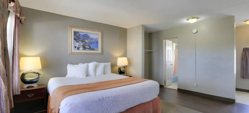 圣彼得斯堡伊克诺旅馆(Econo Lodge St Petersburg Central)图片