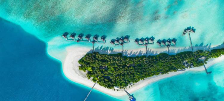 马尔代夫伦格里岛康莱德酒店(Conrad Maldives Rangali Island)图片