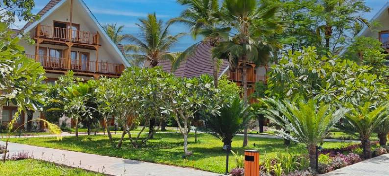 JAZ Amaluna - 仅限16岁以上成人(Jaz Amaluna - Adults Only 16+)图片