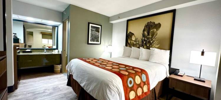 克洛维斯卡农空军基地 SureStay Plus by Best Western(SureStay Plus by Best Western Cannon A.F.B.)图片