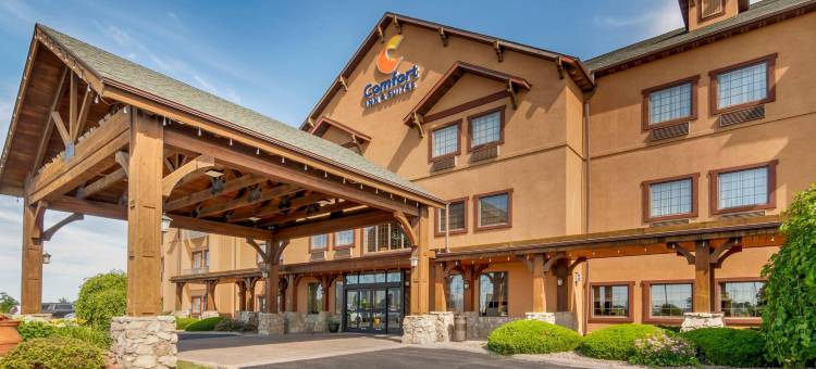 Comfort Inn & Suites Macon图片