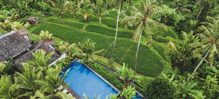 乌布Maar度假村由Ini Vie Hospitality运营(Maar Resort Ubud by Ini Vie Hospitality)图片