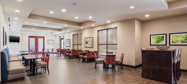 舒适套房酒店(Comfort Inn & Suites)图片