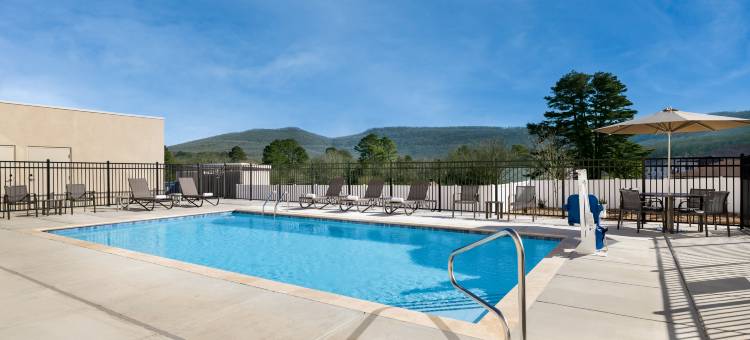 IHG智选假日酒店及套房亨茨维尔东北(Holiday Inn Express & Suites Huntsville Northeast by IHG)图片