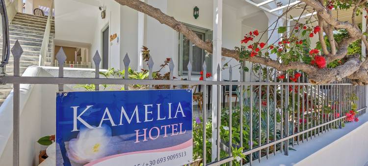 卡梅利亚酒店(Kamelia Hotel)图片