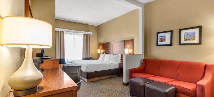 机场舒适套房酒店(Comfort Suites Airport)图片