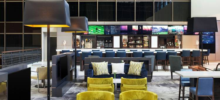 布卢明顿喜来登酒店(Sheraton Bloomington Hotel)图片